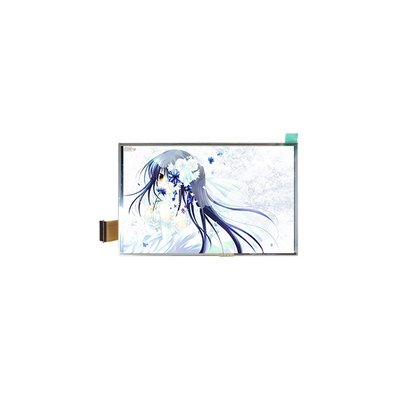 good price 800*480 TM050RBH01-41 LCD Panel SCREEN for Portable Navigation online