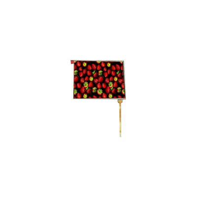 good price new 7.0 inch TM070RBH10-40 LCD Screen lcd for Digital Photo Frame online