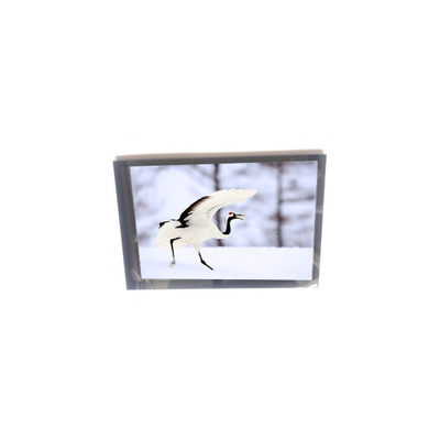 good price 10.1 inch TM101JVHG30-05 PCAP TFT-LCD Screen Display online