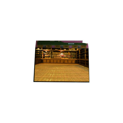 good price hot sell 1600*1200 TM201XDHP01 20.1 inch LVDS LCD Display online
