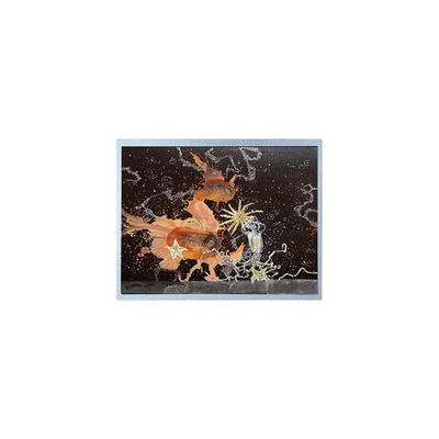 good price 12.1 inch P1210WXF1MA00 1280*800 WLED TFT LCD Panel online