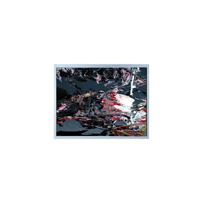 good price P1210WXF1MA01 12.1 inch LVDS TFT LCD Panel Module online