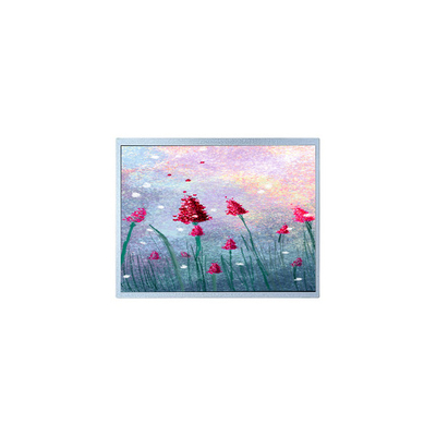 good price P1900SXF1MA00 19.0 inch TFT LCD monitor for Medical Imaging online