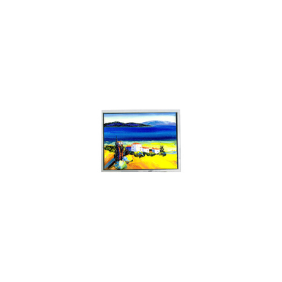 good price HSD050JDW2-C10-0220 800*480 5.0 inch LCD Screen Display online