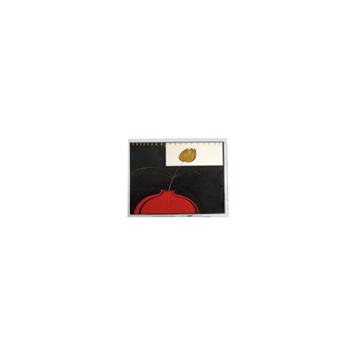 good price new 5.7 inch ER0570B2NC6 16 pins LCD Screen Module online
