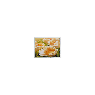 good price ES13BB0FLW 128*64 2.9 inch LCD Screen LCD Module for Instruments online