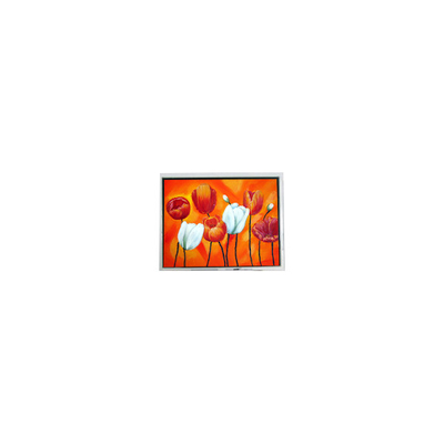 good price EW50397BCW 4.7 inch small 320*240 75Hz lcd Panel LCD screen online