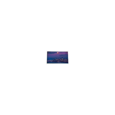 good price hot sell 4.3 inch 480*272 COM43H4N44ULC 45 pins LCD Display online