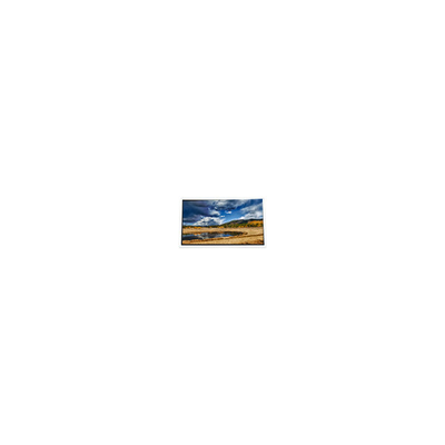 good price new 4.3 inch COM43T4M81ZTC 480*272 LCD Display Touch for PDA online