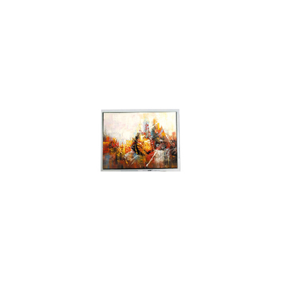 good price Small 640*480 COM57H5M86KLC  5.7 inch 45 pins 60Hz LCD Panel online