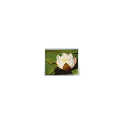 good price 640*480 5.7 inch COM57H5M87KTC 262K 60Hz LCD Touch Display online