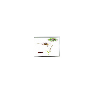 good price COM57T5M52GSC 320*240 5.7 inch LCD Display Industrial online