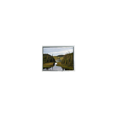 good price 2.0 inch LCD screen 20QVF0H LCD monitor for Handheld online