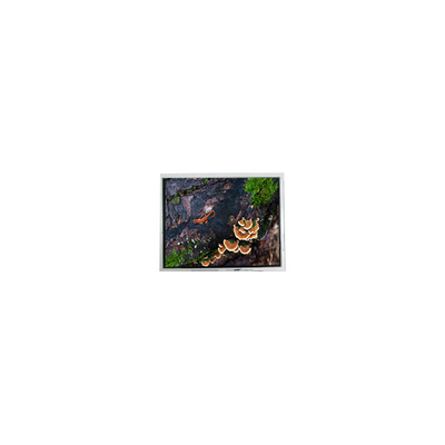 good price new 3.0 inch 30WQF0H 240*400 5S1P WLED LCD screen Module online