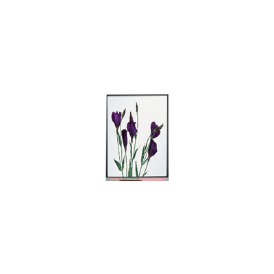 good price High Quality 5.8 inch C058GWW1-0 LCD Display Screen for Projector online