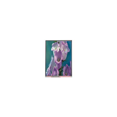 good price 7.0 inch C070AWPE-0 800*480 TFT LCD Screen LCD Panel Industrial online