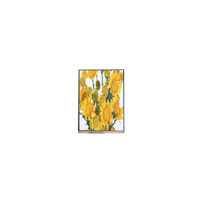 good price C070SWP1 7.0 inch TFT LCD Screen Panel FOR Digital Photo Frame online