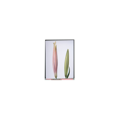 good price C080SWW3-0 8.0 inch TFT LCD Screen Display FOR Tablet online