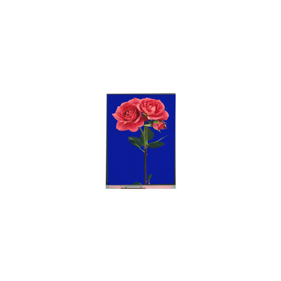 good price 800*1280 C080SWW3-1 8.0 inch TFT LCD Display FOR Pad online