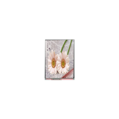 good price C084GNS1-1 800*600 8.4 inch TFT LCD Display FOR Industrial online