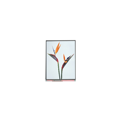 good price 9.0 inch C090NWP1 R0 800*480 TFT LCD Display Panel online