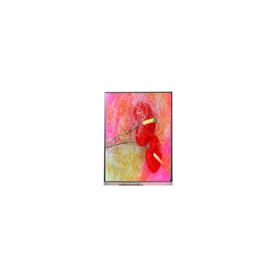 good price Original 9.0 inch 800*480 C090NWP1 R1 16.7M  TFT LCD Panel screen online
