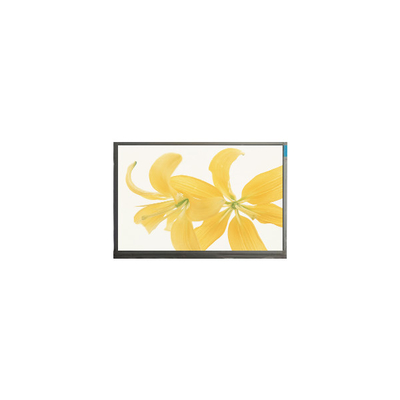 good price 10.4 inch LPM104GNX1 R1 TFT LVDS 262K LCD Panel Monitor online
