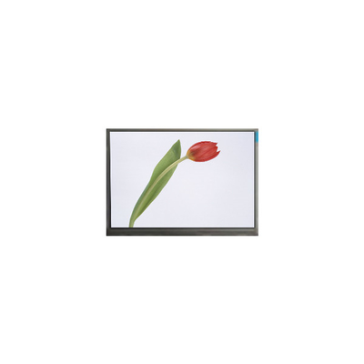 good price M070SWP1 R0 7.0 inch 800*480 TFT LCD screen Panel Display online