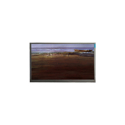 good price in stock 1024*600 10.1 inch P101GWT9 R4 TFT LCD Panel screen online