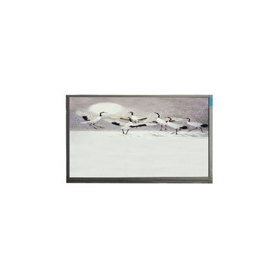 good price P101GWWF R2 10.1 inch 1280*800 LCD Panel Display for Pad online
