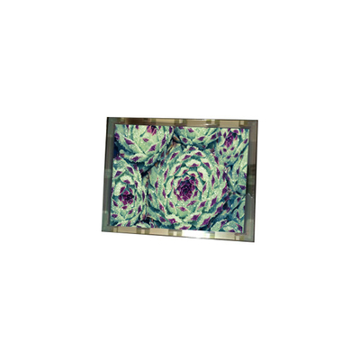 good price 276*128 EL4836HB-ICE 6.3 inch 110 cd/m2 LCD Screen Panel online
