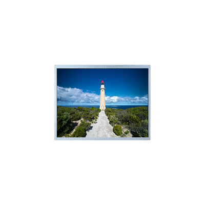 good price 240*234 FG010600ANCWA-01 1.6 inch lcd Screen for Digital Still Camera online