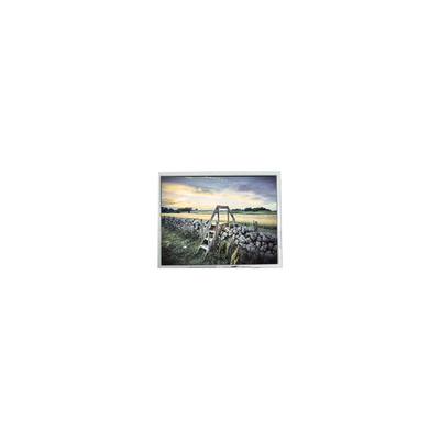 good price 5.6 inch FG050600ANCWAG02 320*234 lcd screen for Portable DVD Player online