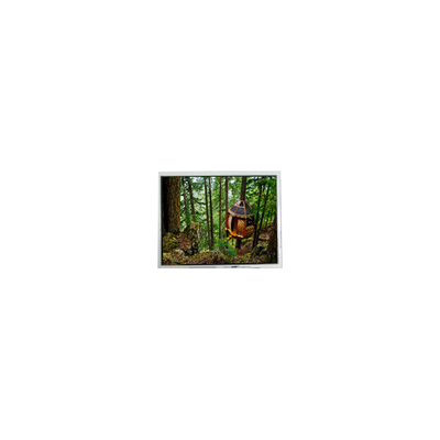 good price FG050720DSSWDGT1 640*480 5.7 inch LCD Touch Screen parts online