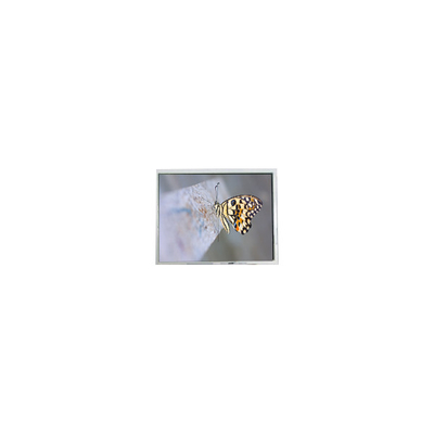 good price FG050722DSSWDGL2 640*480 5.7 inch 20 pins LCD Screen Parts online
