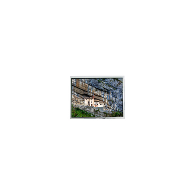 good price 320*234 FG060400ANCWA-01 6.4 inch LCD Panel FOR Digital Photo Fram online