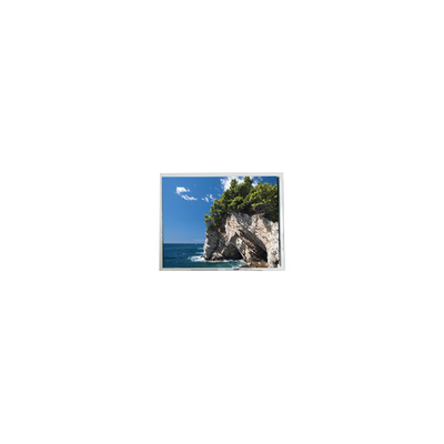 good price 640*480 FG080010DNCWAGL4 8.0 inch 262K LCD Panel Module online
