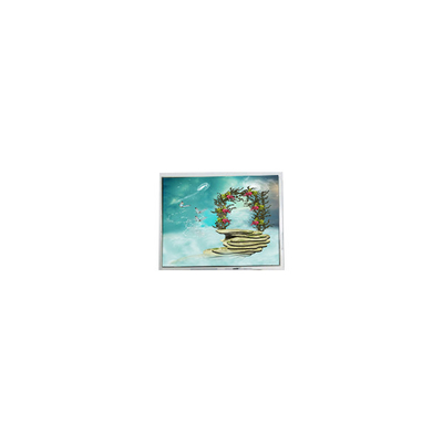 good price TFT1N5918 6.9 inch 800*480 LVDS LCD screen Monitor online