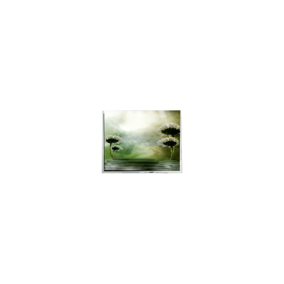good price 10.4 inch TFT1P1799-E 960*1280 LCD screen for Automotive online