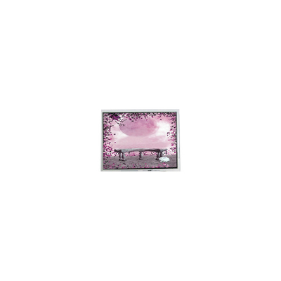 good price New 10.4 inch 480*272 TFT1P5847-E 50 pins LCD screen Module online