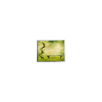 good price original 7.0 inch TFT7D0179 600*1024 16.7M  LCD screen lcd Display online