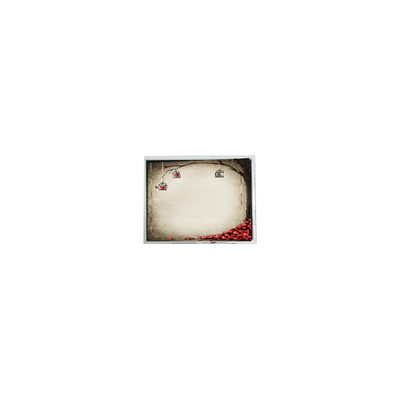 good price TFT9D6672 6.9 inch 800*480 600:1 LCD screen module parts online