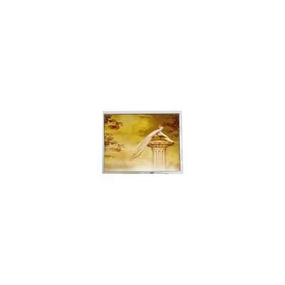 good price TFT1920720-1 12.3 inch LCD module screen parts online