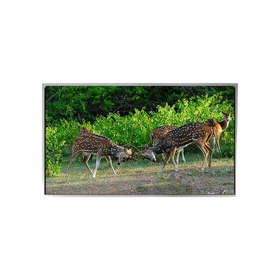 good price Hot Sell 21.3 inch 1200*1600 P213UXF1MA10 LVDS lcd Monitor online