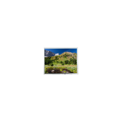 good price ZV055FHM-A40-18P0 5.5 inch LCD screen Panel Display online