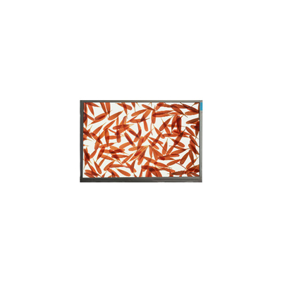 good price M090AWA6 R1 1280*720 9.0 inch LCD screen for Outdoor High Brightness online