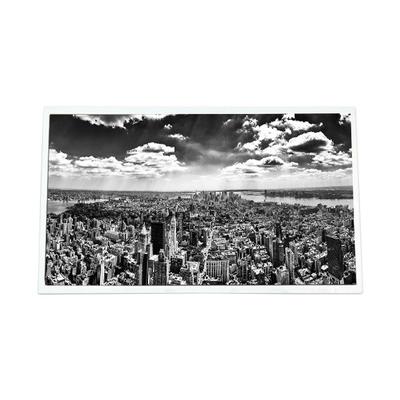 good price HOT SELL 21.5 inch P215HZN02.0 LCD screen FOR Digital Signage online