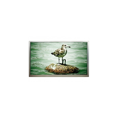 good price 1920*1080 32.0 inch PT320CT01-2 LVDS LCD screen LCD Display online