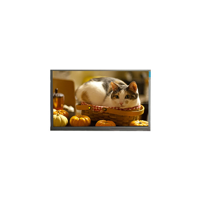 good price N140BGE-P23 14.0 inch 60Hz 262K LCD Panel Display Screen online