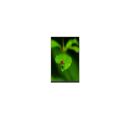 good price P080KDA-AF1 8.0 inch 1200*1920 415 cd/m2 LCD Panel Monitor online